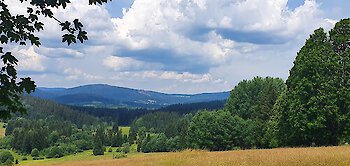 Böhmerwald